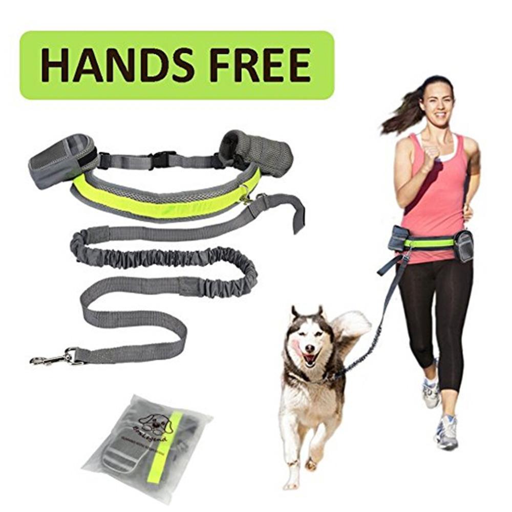 Hands-Free Dog Leash