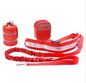 Hands-Free Dog Leash