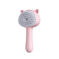 Brosse de nettoyage des poils avec brume