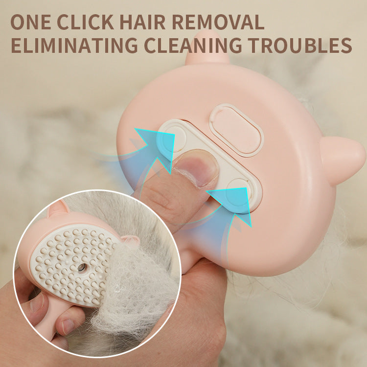 Brosse de nettoyage des poils avec brume