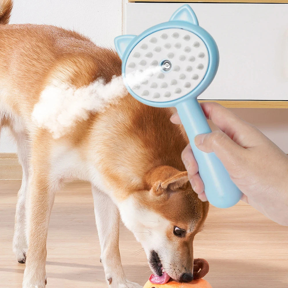 Brosse de nettoyage des poils avec brume